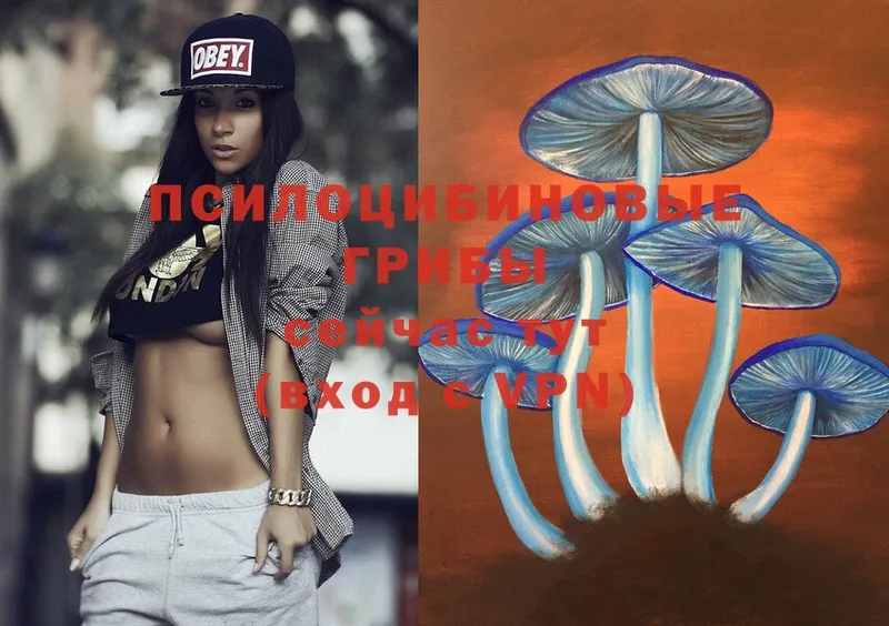 ссылка на мегу как войти  Белогорск  Галлюциногенные грибы MAGIC MUSHROOMS 